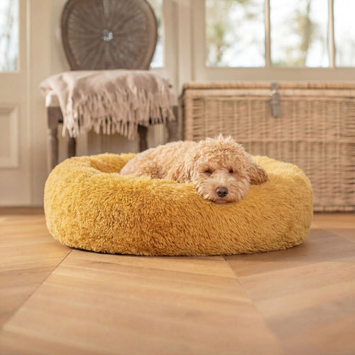 Legowisko dla psa Pluszowa Chmurka PREMIUM Miodowy
